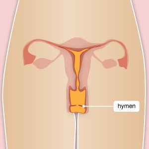 het hymen of maagdenvlies zit 1 cm vanaf de buitenkant van de vagina